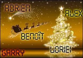 Les garçons décidèrent de s'occuper de la décoration de Noël. Thrudon et Alex jetaient des guirlandes partout, et Benoît essayait de mettre un sapin. Garry et Loriei lui apprirent que ... mangeaient du sapin, et qu'il devait faire attention.