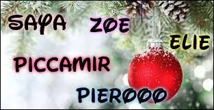 Saya78, Piccamir, Elie, Zoé et Pierooo était occupés à chanter des chants de Noël. La voix soprano de Zoé était en train de dire : "Enfants de Palestine, ou enfants d'Israël, d'Amérique ou de Chine en ce soir de Noël ; que ton regard se pose, sur la terre ou le ciel, ne retiens qu'une chose...".