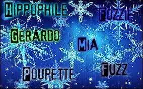 Plus loin, Hippophile, Gerardo, Mia, Fozzie, Poupette51 et Fuzz parlaient du mythe du père Noël. Hippo expliquait que croire au père Noël permettait aux enfants de rêver, et que rêver était magnifique. Mia s'ennuyait un peu, alors elle décida de traduire ce qu'il venait de dire en anglais.