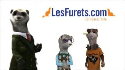 Qu'entend-on par « LesFurets.com » ?