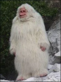 Mais que mange Georges, le yéti en 2005 et en 2006 ?