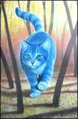 Elle est morte en mettant ses petits au monde, c'est la fille de Plume fauve :