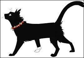 Qui a été tué par Fléau ?