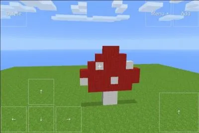 Combien ai-je mis de photos dans tout le questionnaire ?