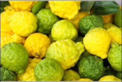 Selon la légende, par une nuit de pleine lune, cet agrume nous fait voir l'endroit où naissent les fées.