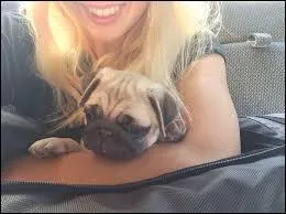 Comment s'appelle sa chienne ? (voir photo)