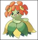 Quel est ce Pokémon ?