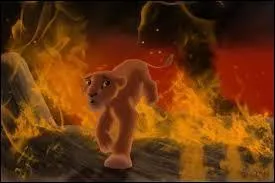 Lors de sa première chasse en solo, Kiara va tomber dans un piège imaginé par Zira. De quel piège s'agit-il ?