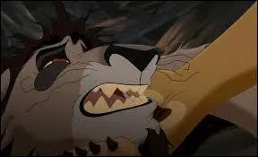 Lors d'une ballade, Simba et Kovu vont tomber dans un piège de Zira. Un combat va alors éclater entre les lionnes des terres interdites et Simba. Au cours de cette bataille, qui va mourir ?