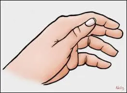 Quelles sont les seules princesses gauchères ?