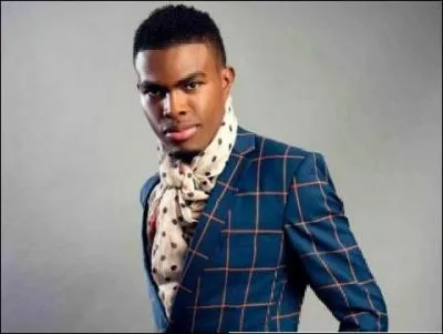 Qui est cet artiste ?