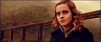 Quel nom de famille Hermione aurait-elle dû avoir ?