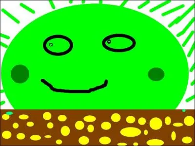 De quelle couleur le soleil était-il dans le film réalisé par Richard Fleischer ?