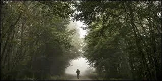 Il va falloir changer les draps, comme d'habitude. Je ... à mes occupations habituelles, que je puis faire les yeux fermés.