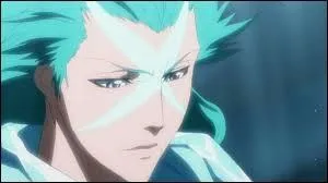 Qui est ce Zanpakuto ?