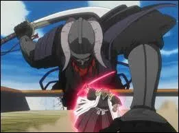 Qui est ce Zanpakuto ?
