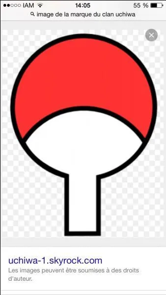 Comment appelle-t-on les ninjas de ce clan ?