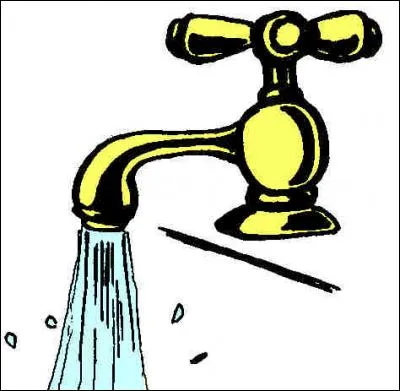 L'endroit où elle vit est à moitié rempli...