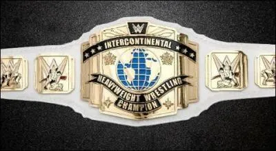 Quelle est cette ceinture ?