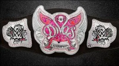 Quelle est cette ceinture ?