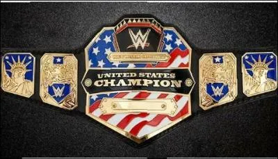 Quelle est cette ceinture ?