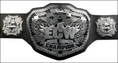 Quelle est cette ceinture ?