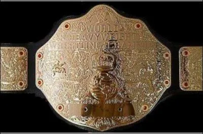 Quelle est cette ceinture ?