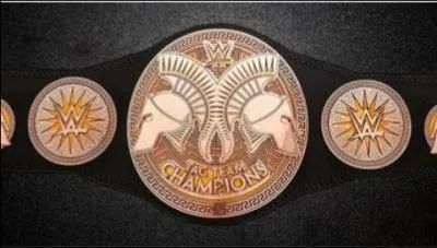 Quelle est cette ceinture ?