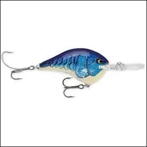 Que présente l'image ?