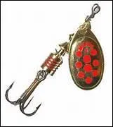 Que présente l'image ?