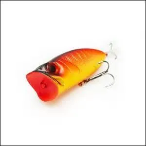 Quel est le nom du leurre sur l'image ?