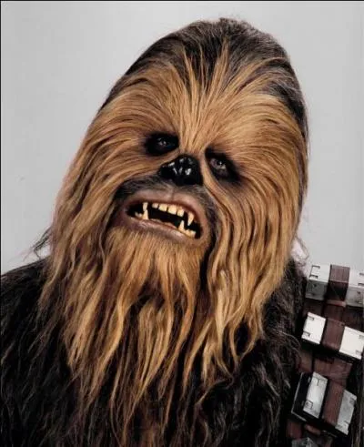 Allez-vous réussir à le nommer ?