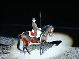 Quelle est la particularité d'un des lipizzans de l'école d'équitation de Vienne ?