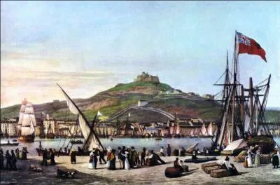 Hourra ! Votre fils rentre sain et sauf. Le sort de l'empereur sera moins heureux que le sien. Et le traité de Paris voit la France occupée par les différentes armées ennemies. Habitant à Marseille, vous voyez débarquer...