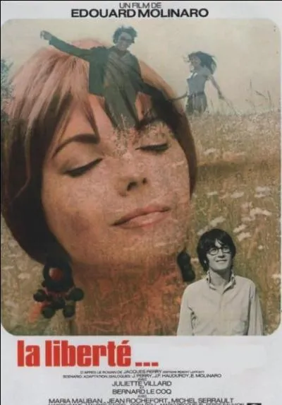 Sans être un thuriféraire du "C'était mieux avant ! ", remplacez les 2 antiennes d'aujourd'hui "djihadiste" et "réchauffement climatique" par "condition de la femme" et "libération sexuelle" : vous êtes dans les "70s" ! Donc, "La liberté ______" ! (Complétez)