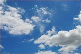 Dans le cœur de quel sexe a-t-elle vu le jour ?