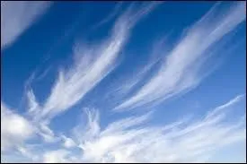 Dites-moi ce qui se construit dans un air fait pour eux.