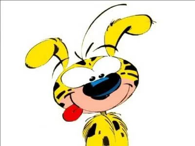 Quel est ce dessin animé ?