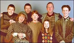 Quel membre de la famille Weasley travaille au ministère ?