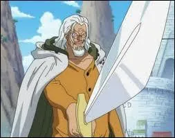 Qui est le vice-capitaine de Roger ?