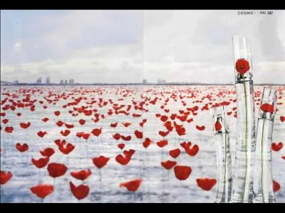 Magnifique image de Patrick Guedj, pour "Flowers", by...