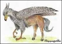 Tome 3 : Combien y a t-il d'hippogriffe ?
