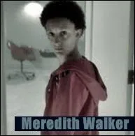 Qui interprète le rôle de Meredith Walker ?