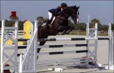 Comment appelle-t-on cette discipline ?