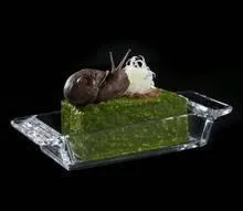 Son chef s'appelle Heston Blumenthal et je ne vous montrerai pas sa gueule car on s'en fout mais ces plats oui. Il est célèbre pour ...