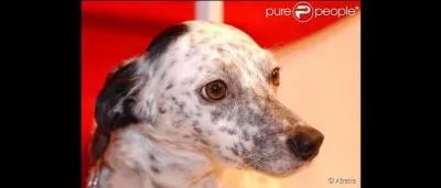 Née le 5 janvier, elle a partagé sa vie entre Michel et Olga !