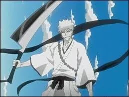 Qui est-ce ? (Bleach)