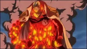 Qui est-ce ? (One Piece)