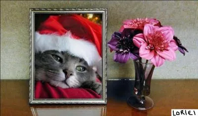 Je rêvais d'une minuscule planète sans soucis
... tous les problèmes seraient réglés par Loriei
Si ce dernier n'utilisait pas la magie
La vie sur ma planète se ferait sans amis.