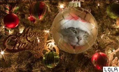 Je rêvais d'une petite planète faite de chocolat
Pour le plus grand bonheur de mademoiselle Lola
Si les habitants étaient tous ... de nougat 
La vie sur ma planète ne tiendrait plus qu'à un bras.